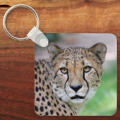 Porte-clés Cheetah 009 (Recto)