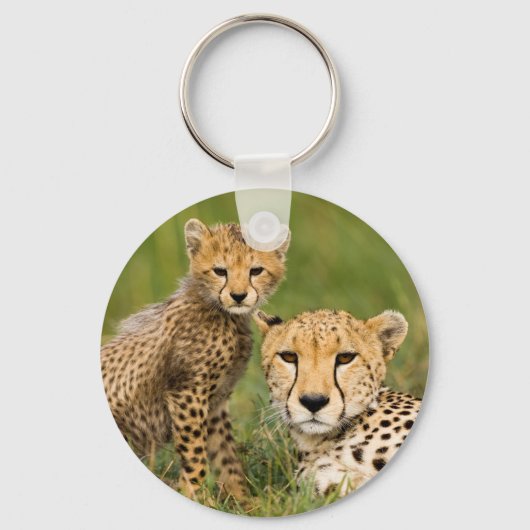 Porte-clés Cheetah Cub and Parent (Recto)