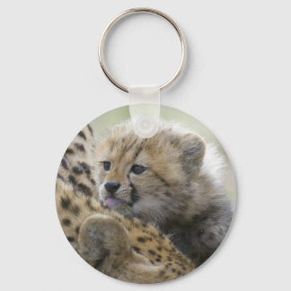 Porte-clés Cheetah Cub avec maman