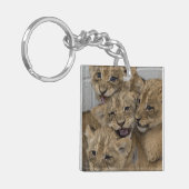 Porte-clés Cheetah Cubs Jouer (Devant gauche)