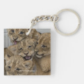 Porte-clés Cheetah Cubs Jouer (Dos)