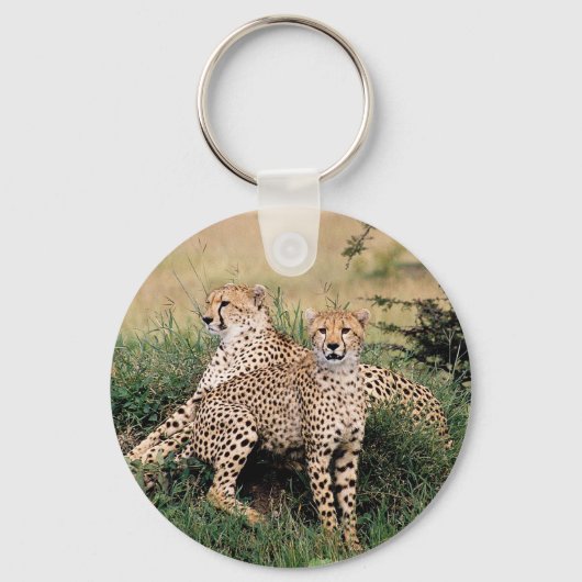 Porte-clés Cheetah Pair (Recto)