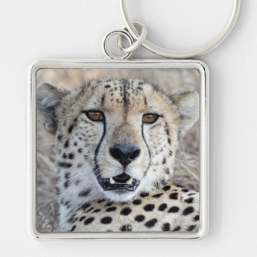 Porte-clés Cheetah Portrait (Devant)