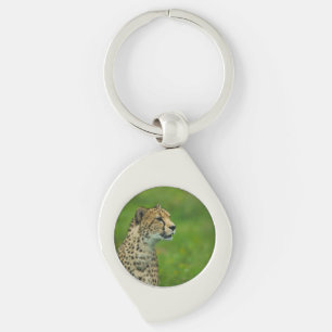 Porte-clés Cheetah Sur Un Point De Vue