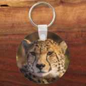 Porte-clés Cheetah Wildlife Big Cat (Recto)