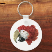 Porte-clés Chef d'une Macaw (1725-1792) Aert Schouman (Recto)