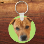 Porte-clés Chemise Baileybobs (Recto)