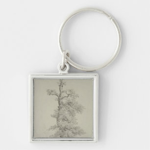 Porte-clés Chêne antique avec le nid d'une cigogne