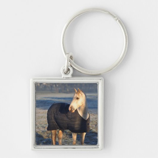 Porte-clés cheval (Devant)