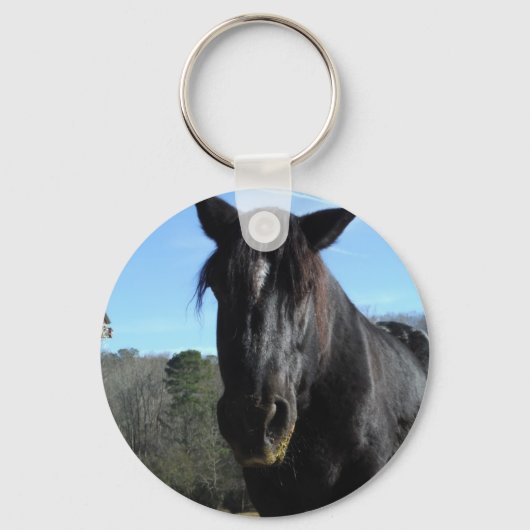 Porte-clés Cheval à bascule noir secouru (Recto)