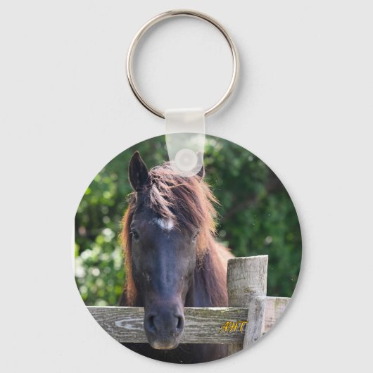 Porte-clés Cheval AHT (Recto)