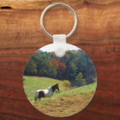 Porte-clés Cheval blanc et Brown, étang d'automne (Recto)