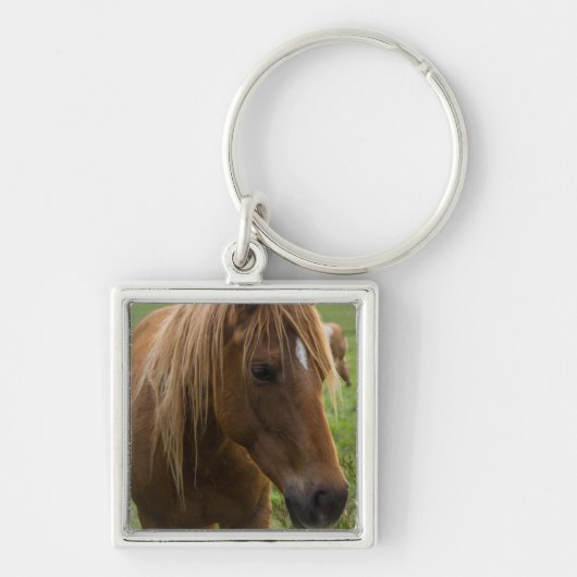 Porte-clés Cheval Bonjour (Devant)