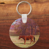 Porte-clés Cheval Brown dans un champ d'herbe (Recto)