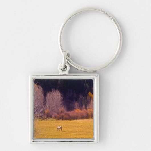 Porte-clés Cheval dans l'automne I (Devant)