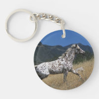 Cheval d'Appaloosa courant la montagne