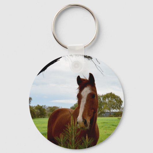 Porte-clés Cheval De Châtaignier Avec Banksia Tree, (Recto)