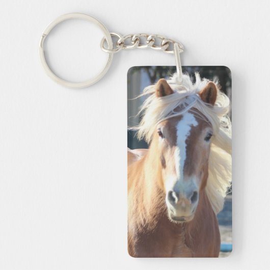 Porte-clés Cheval de Haflinger (Devant)