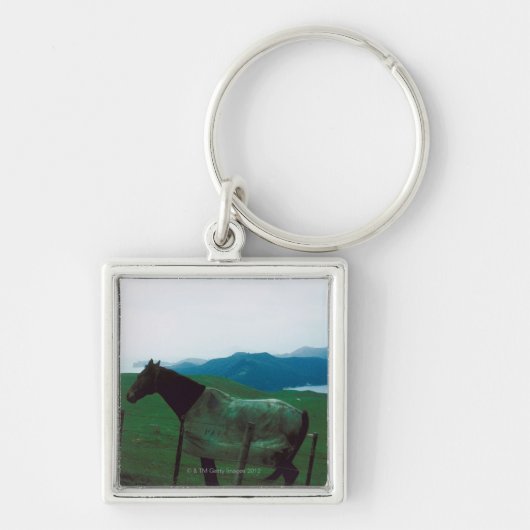 Porte-clés Cheval derrière la barrière (Devant)