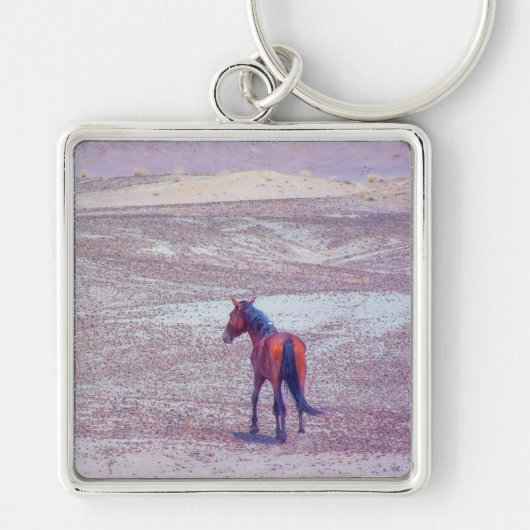 Porte-clés Cheval du désert P8640 (Devant)
