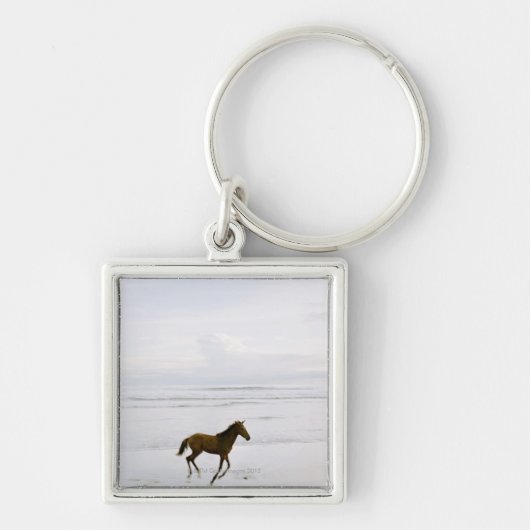 Porte-clés Cheval fonctionnant sur la plage (Devant)