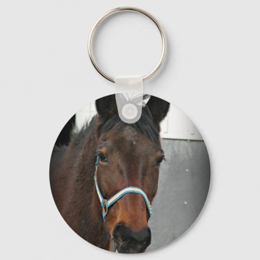 Porte-clés cheval heureux (Recto)