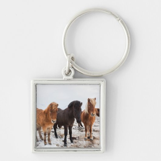 Porte-clés Cheval islandais en hiver en Islande (Devant)