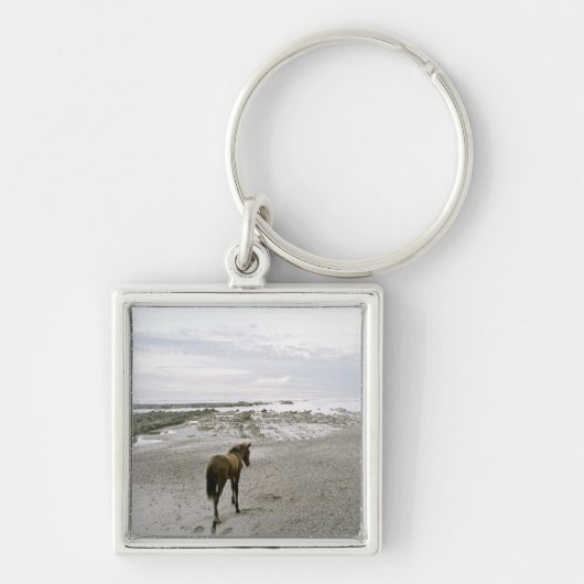 Porte-clés Cheval marchant sur la plage (Devant)