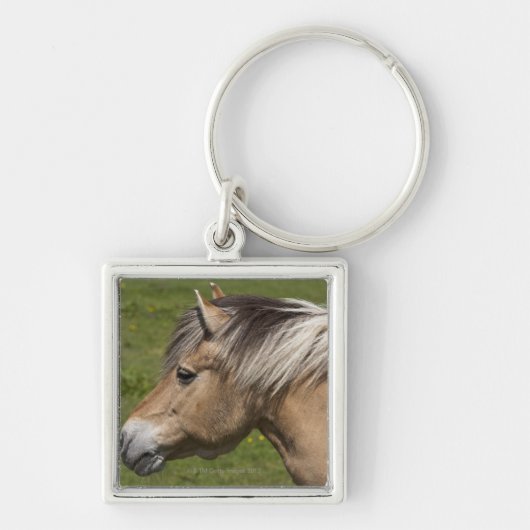 Porte-clés Cheval norvégien de fjord (Devant)