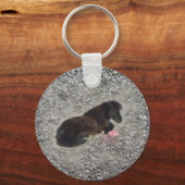 Porte-clés cheval poney shetty animal minicheval (Recto)