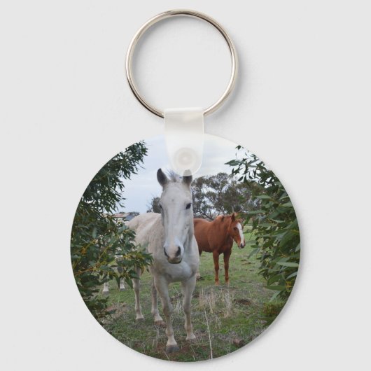 Porte-clés Chevaux Brown Et Blancs, (Recto)