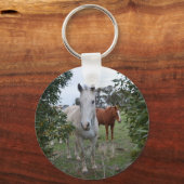 Porte-clés Chevaux Brown Et Blancs, (Recto)