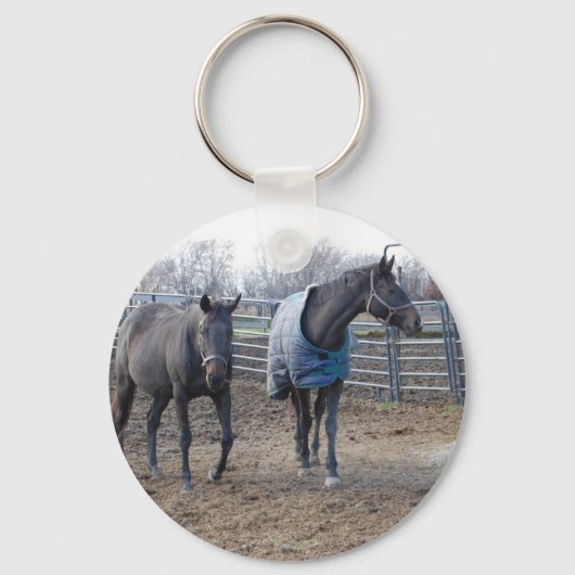 Porte-clés Chevaux De Ferme De Grange (Recto)
