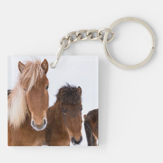 Porte-clés Chevaux Islandais mignons ensemble (Dos)