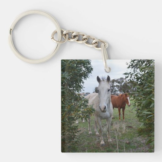 Porte-clés Chevaux Peekaboo Brown Et Blancs, - (Devant)