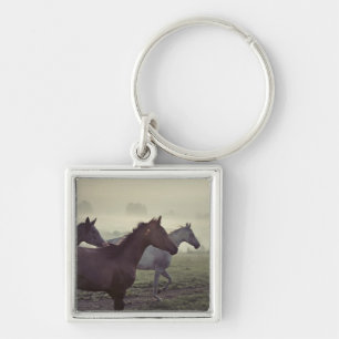 Porte-clés Chevaux sauvages