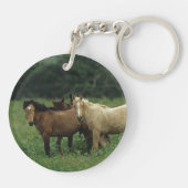 Porte-clés Chevaux sauvages 4 de mustang (Dos)