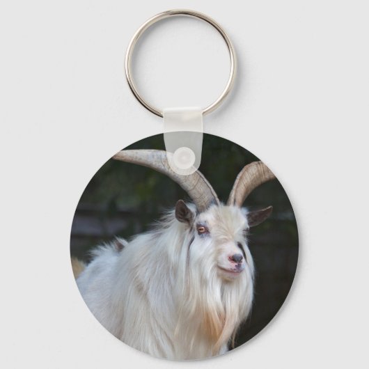 Porte-clés chèvre pygmée africaine (Recto)