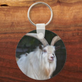 Porte-clés chèvre pygmée africaine (Recto)