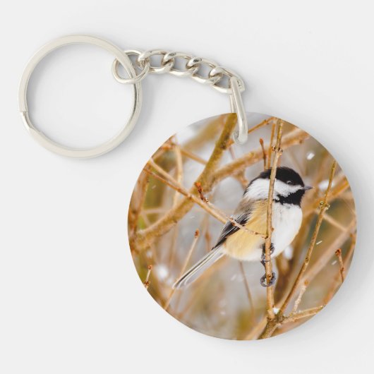 Porte-clés Chickadee au plafond noir - Photo originale (Devant)