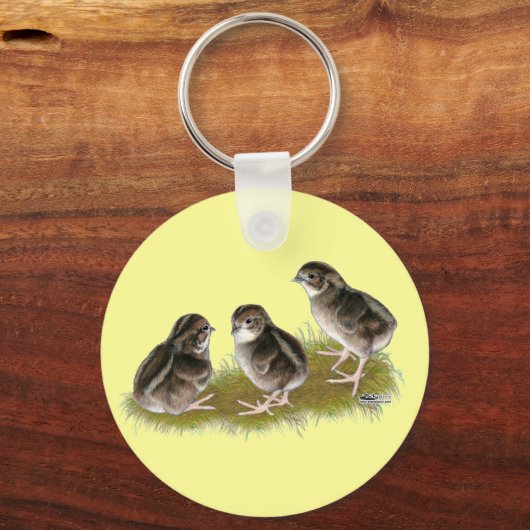 Porte-clés Chicks de Coturnix (Recto)