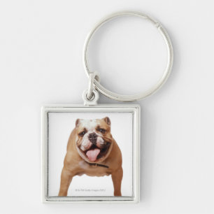 Porte-clés , chien