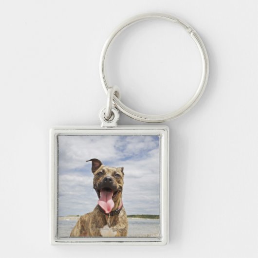 Porte-clés chien à la plage (Devant)