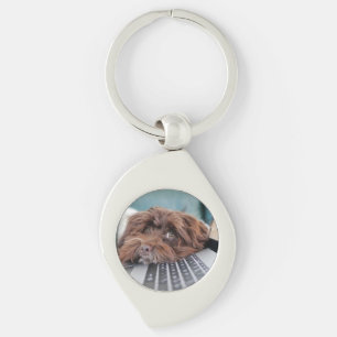 Porte-clés Chien, Animal de compagnie, confinement
