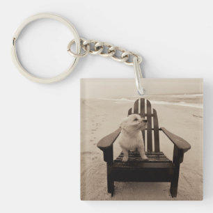 Porte-clés Chien appréciant la plage