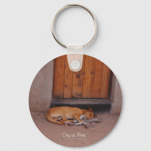 Porte-clés Chien au repos Porte - clé