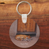 Porte-clés Chien au repos Porte - clé (Recto)