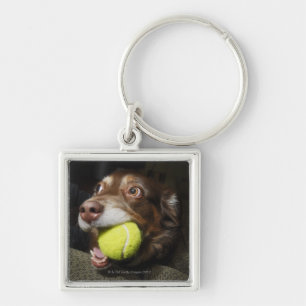 Porte-clés Chien avec de la balle de tennis