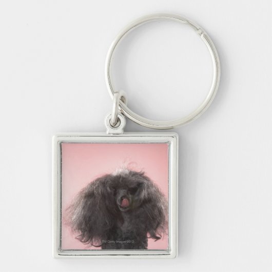 Porte-clés Chien avec des cheveux devant le visage et la (Devant)
