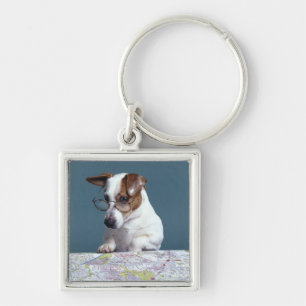 Porte-clés Chien avec des verres de lecture étudiant la cart